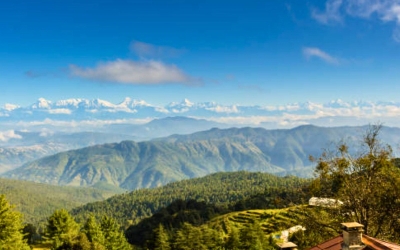 Snow-capped Himalayan peaks visible over rolling green hills